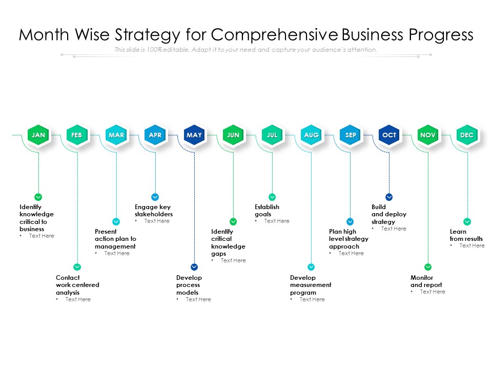 Month Wise Strategy For Comprehensive Business Progress Ppt PowerPoint Presentation Model Show PDF