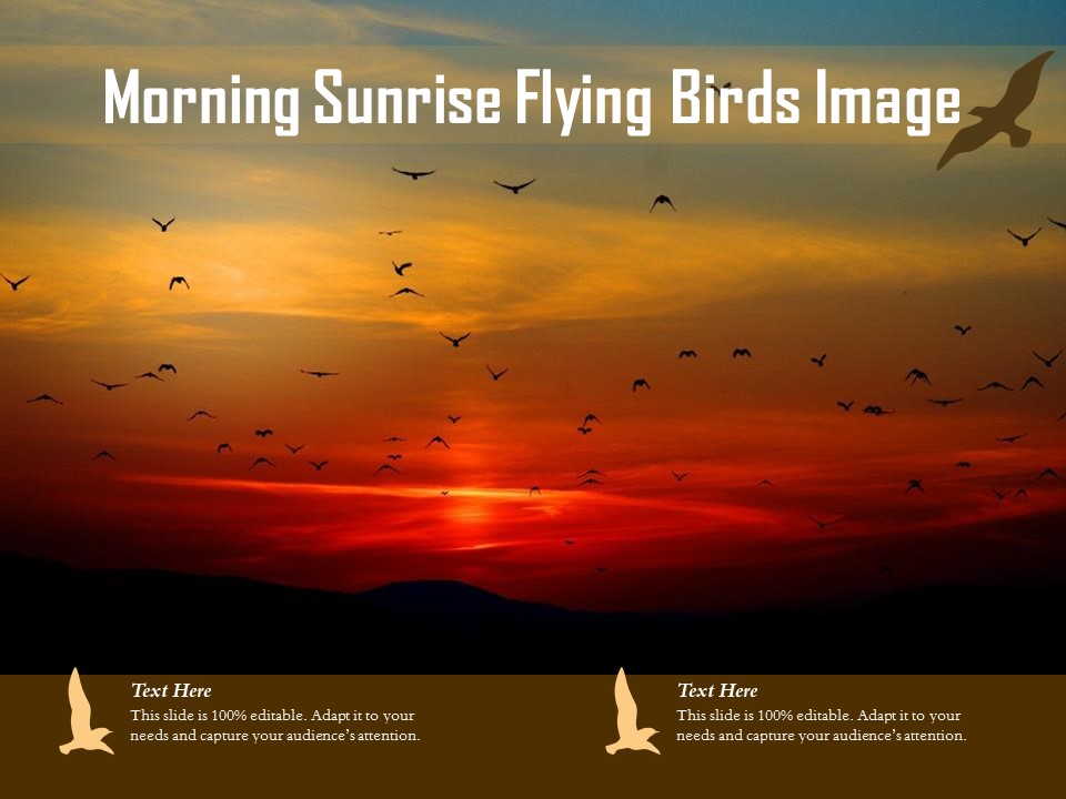 Morning Sunrise Flying Birds Image Ppt PowerPoint Presentation File Slideshow PDF