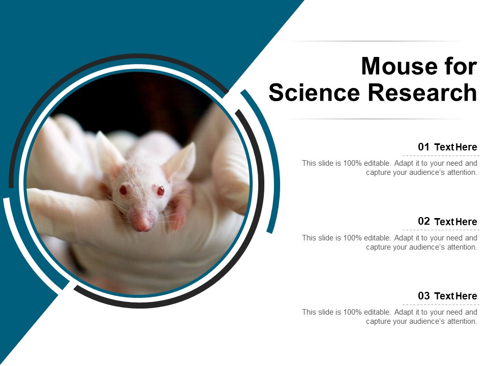 Mouse For Science Research Ppt PowerPoint Presentation File Format Ideas PDF