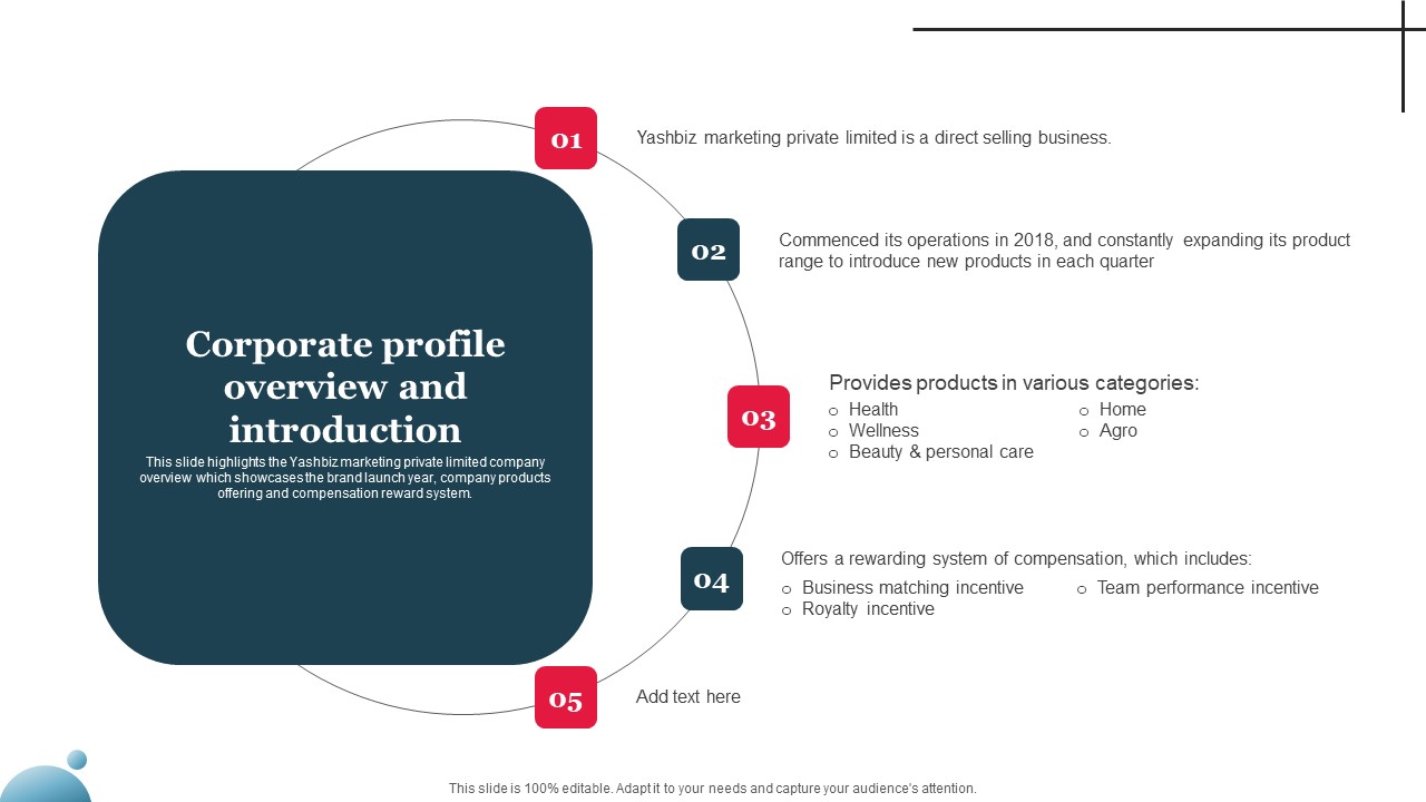 Multi Level Marketing Company Outline Corporate Profile Overview And Introduction Themes PDF