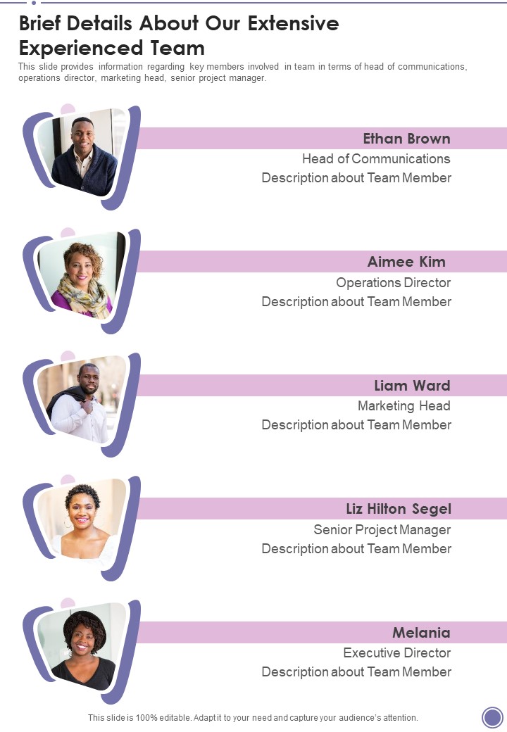 Music Concert Funding Brief Details About Our Extensive Experienced Team One Pager Sample Example Document