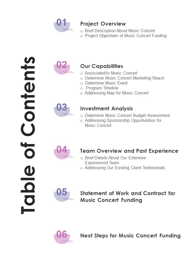Music Concert Funding Proposal Table Of Contents One Pager Sample Example Document