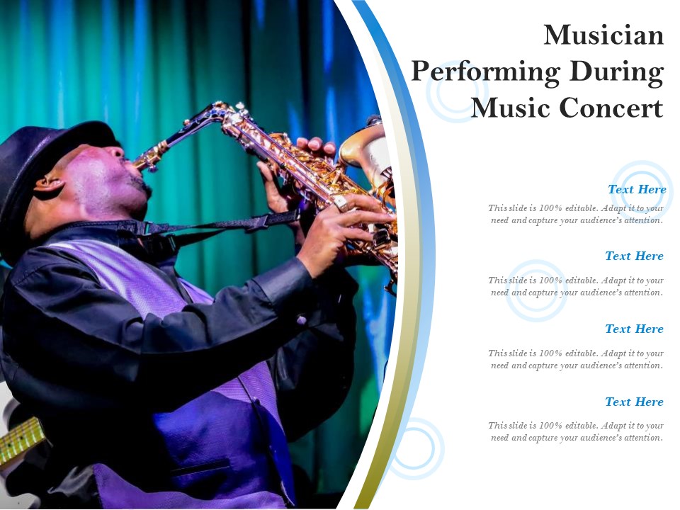 Musician Performing During Music Concert Ppt PowerPoint Presentation Styles Summary PDF