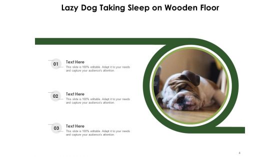 Nap Comfortable Sleep Individual Ppt PowerPoint Presentation Complete Deck