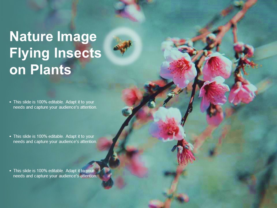 Nature Image Flying Insects On Plants Ppt PowerPoint Presentation Portfolio Layout Ideas