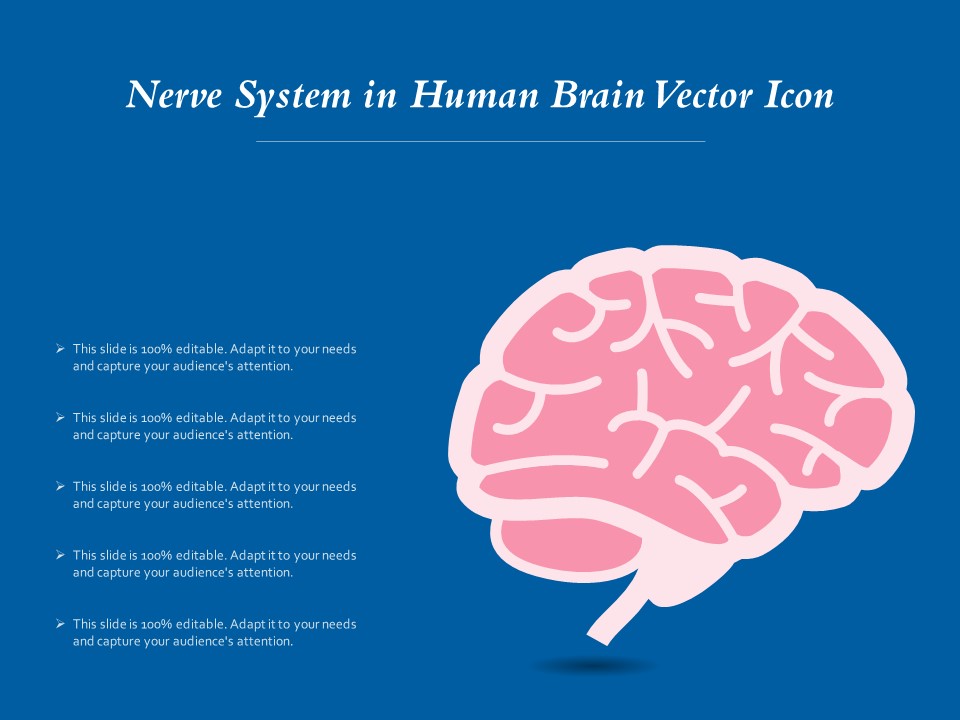 Nerve System In Human Brain Vector Icon Ppt PowerPoint Presentation File Graphics Example PDF