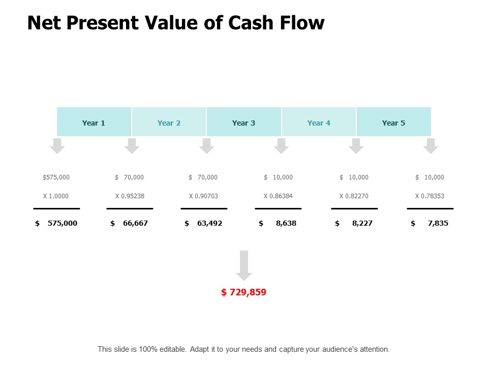 Net Present Value Of Cash Flow Ppt PowerPoint Presentation Layouts Graphic Tips