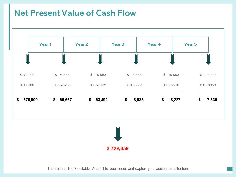 Net Present Value Of Cash Flow Ppt PowerPoint Presentation Professional Graphics Download