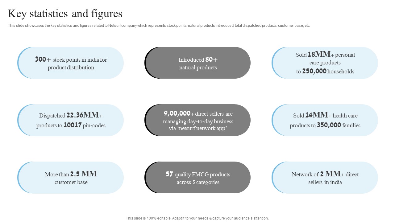 Network Marketing Company Profile Key Statistics And Figures Professional PDF