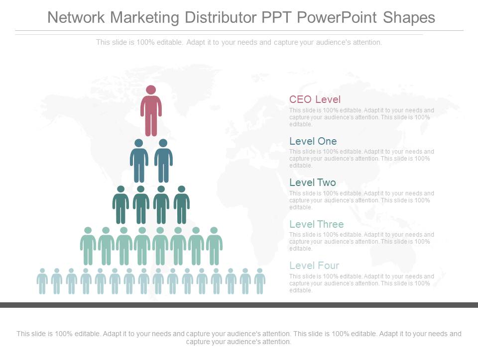 Network Marketing Distributor Ppt Powerpoint Shapes