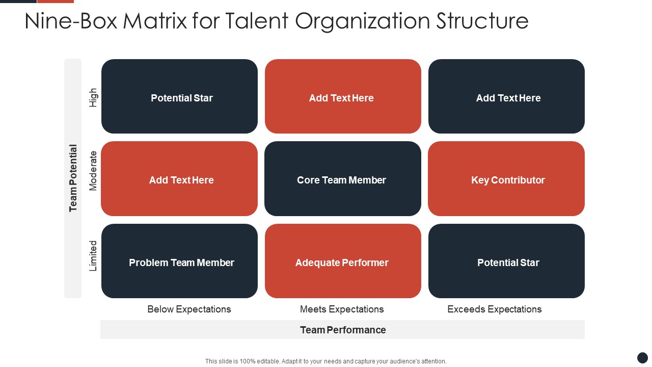 Nine-Box Matrix For Talent Organization Structure Structure PDF