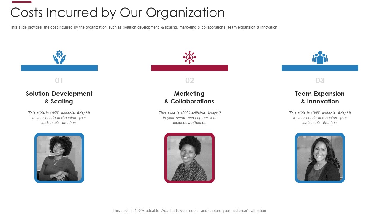 Non Profit Making Capital Raising Contributors Costs Incurred By Our Organization Professional PDF