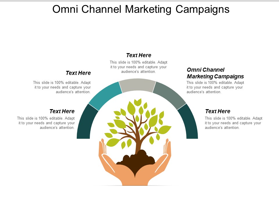 Omni Channel Marketing Campaigns Ppt PowerPoint Presentation Model Backgrounds Cpb