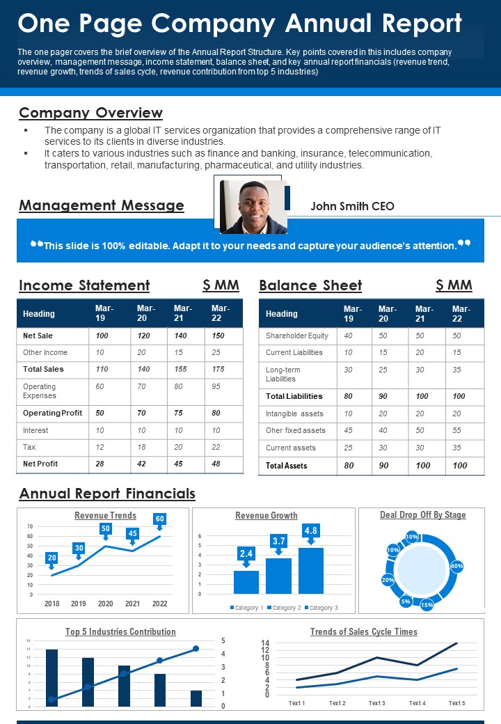 One Page Company Annual Report PDF Document PPT Template