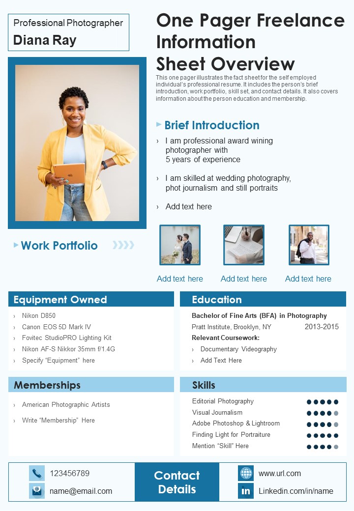 One Pager Freelance Information Sheet Overview PDF Document PPT Template