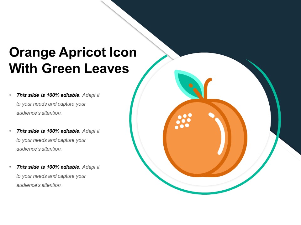 Orange Apricot Icon With Green Leaves Ppt PowerPoint Presentation Icon Model PDF