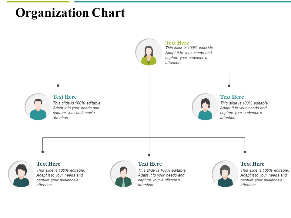 Organization Chart Ppt PowerPoint Presentation Infographics Guide