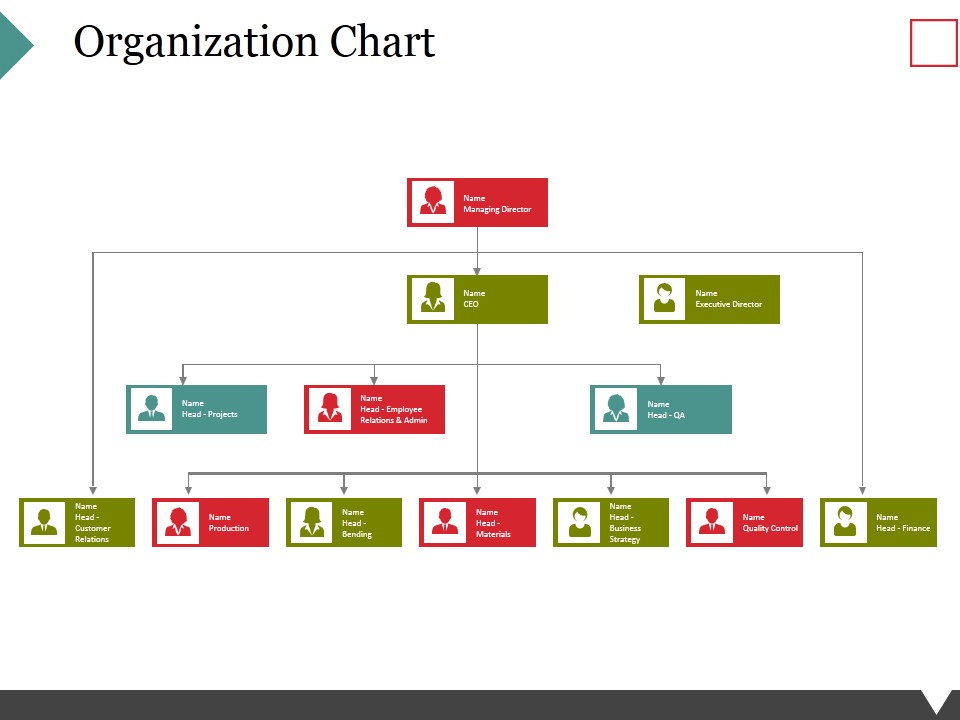 Organization Chart Ppt PowerPoint Presentation Layouts Slideshow