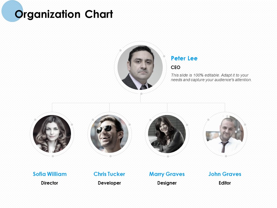 Organization Chart Ppt PowerPoint Presentation Portfolio Show