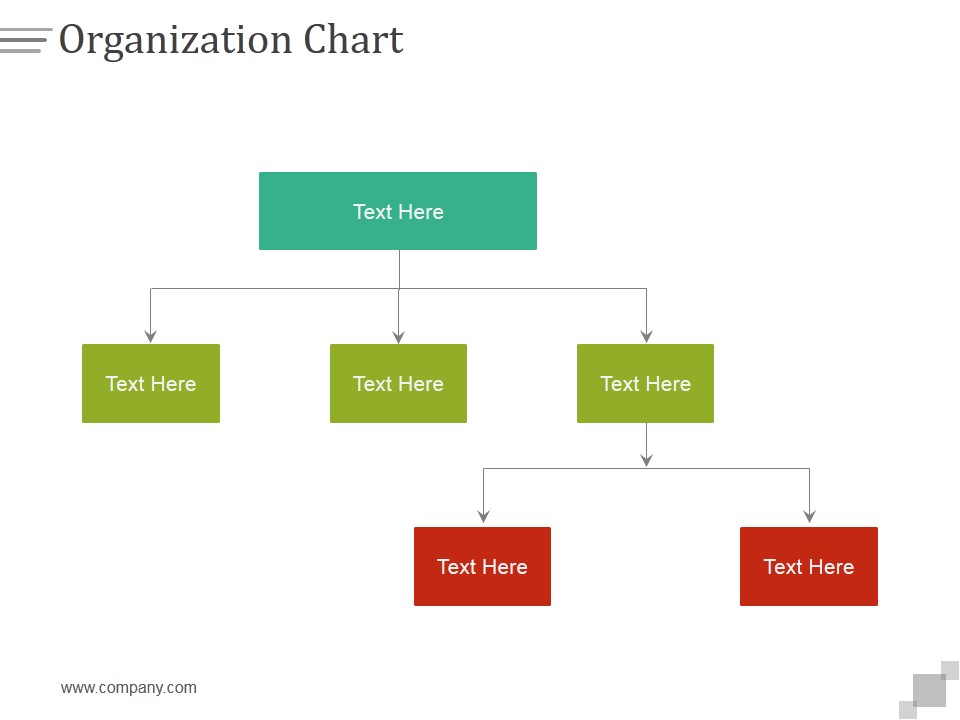 Organization Chart Ppt PowerPoint Presentation Professional