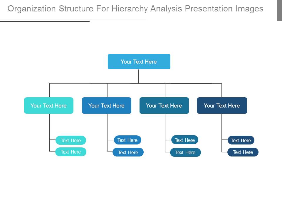 Organization Structure For Hierarchy Analysis Presentation Images