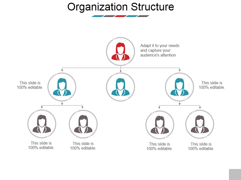 Organization Structure Ppt PowerPoint Presentation Inspiration Gridlines