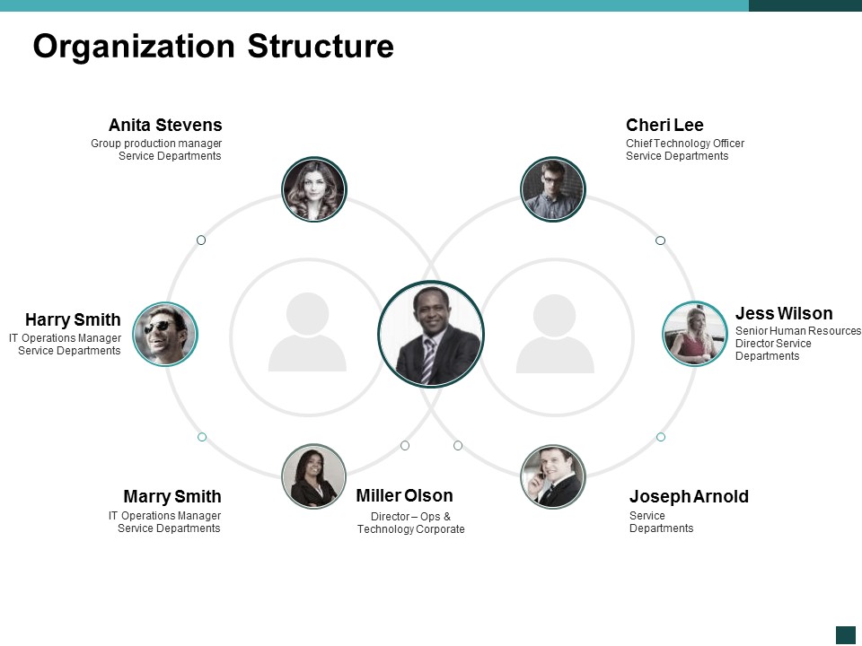 Organization Structure Ppt Powerpoint Presentation Pictures Templates