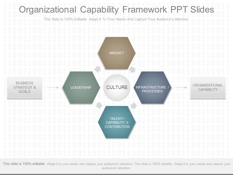Organizational Capability Framework Ppt Slides