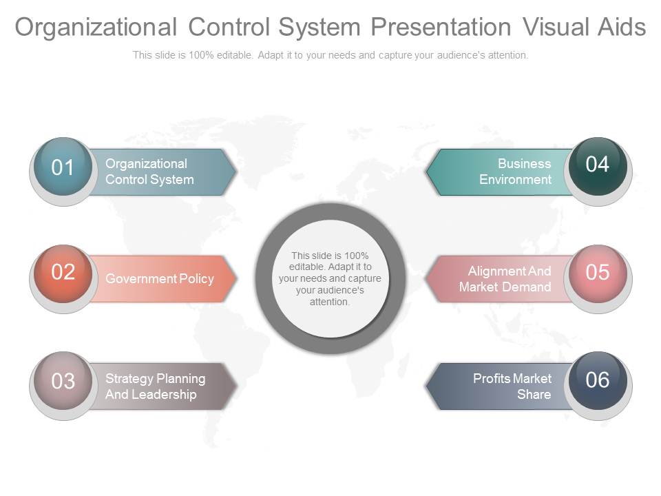 Organizational Control System Presentation Visual Aids