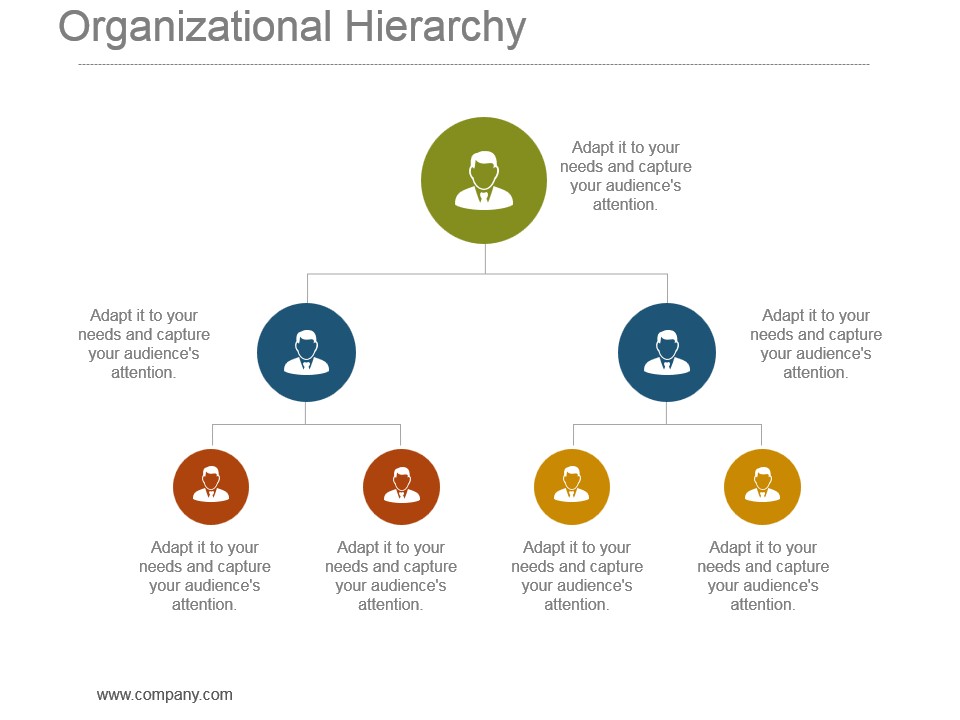 Organizational Hierarchy Powerpoint Presentation