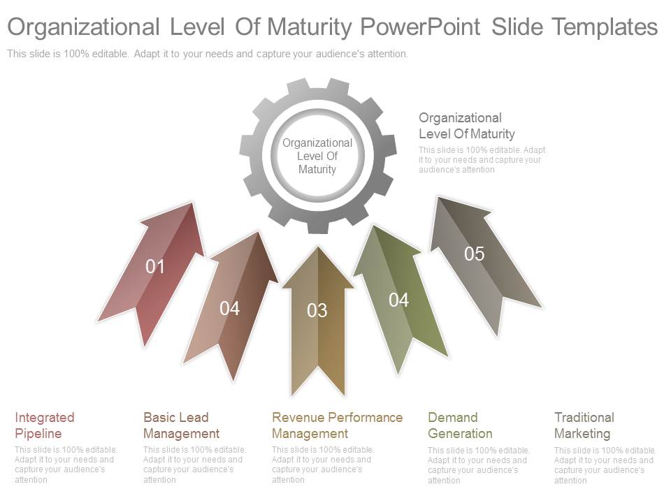 Organizational Level Of Maturity Powerpoint Slide Templates