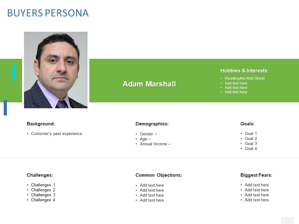 Organizational Socialization Buyers Persona Ppt Model Example Introduction PDF