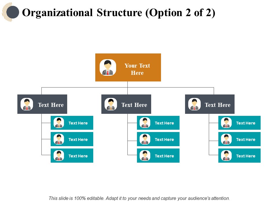 Organizational Structure Management Ppt PowerPoint Presentation Styles Design Templates