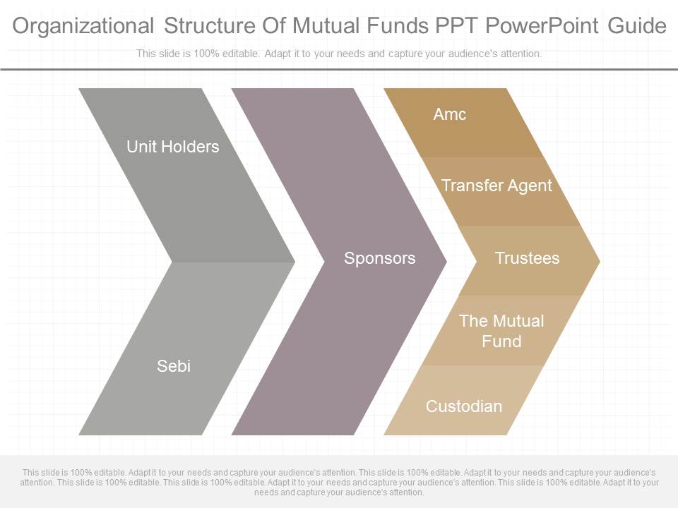 Organizational Structure Of Mutual Funds Ppt Powerpoint Guide