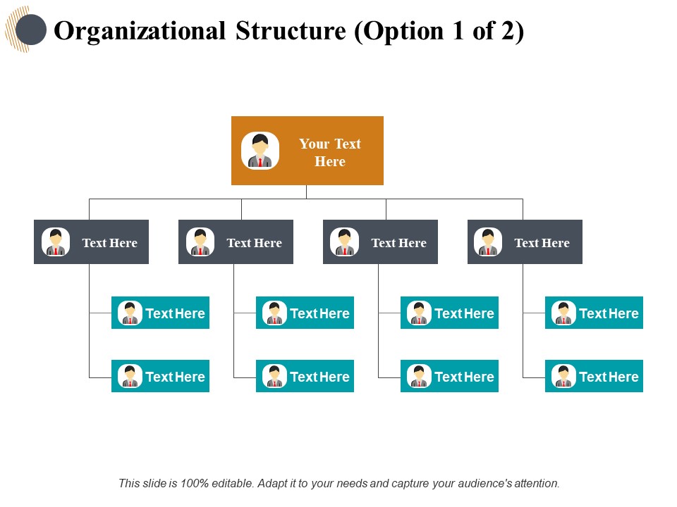 Organizational Structure Ppt PowerPoint Presentation Outline Layouts