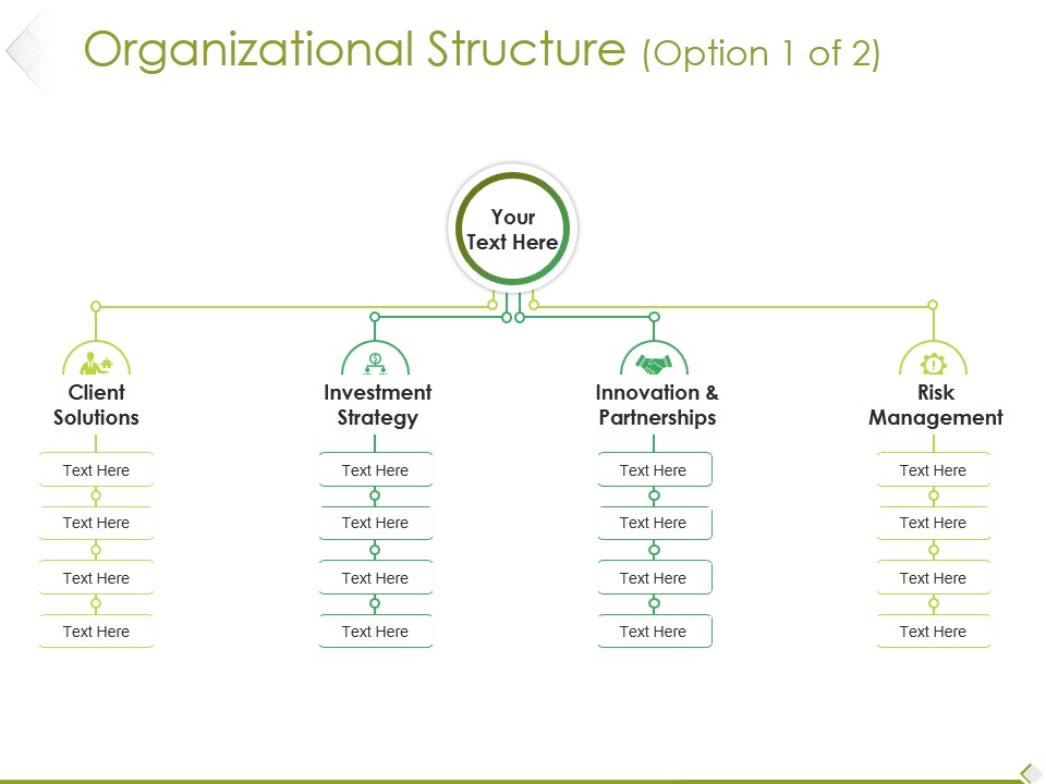 Organizational Structure Template 1 Ppt PowerPoint Presentation Infographics Files
