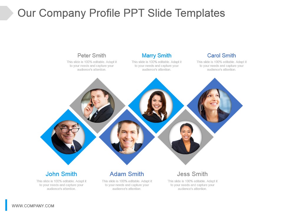 Our Company Profile Ppt Slides