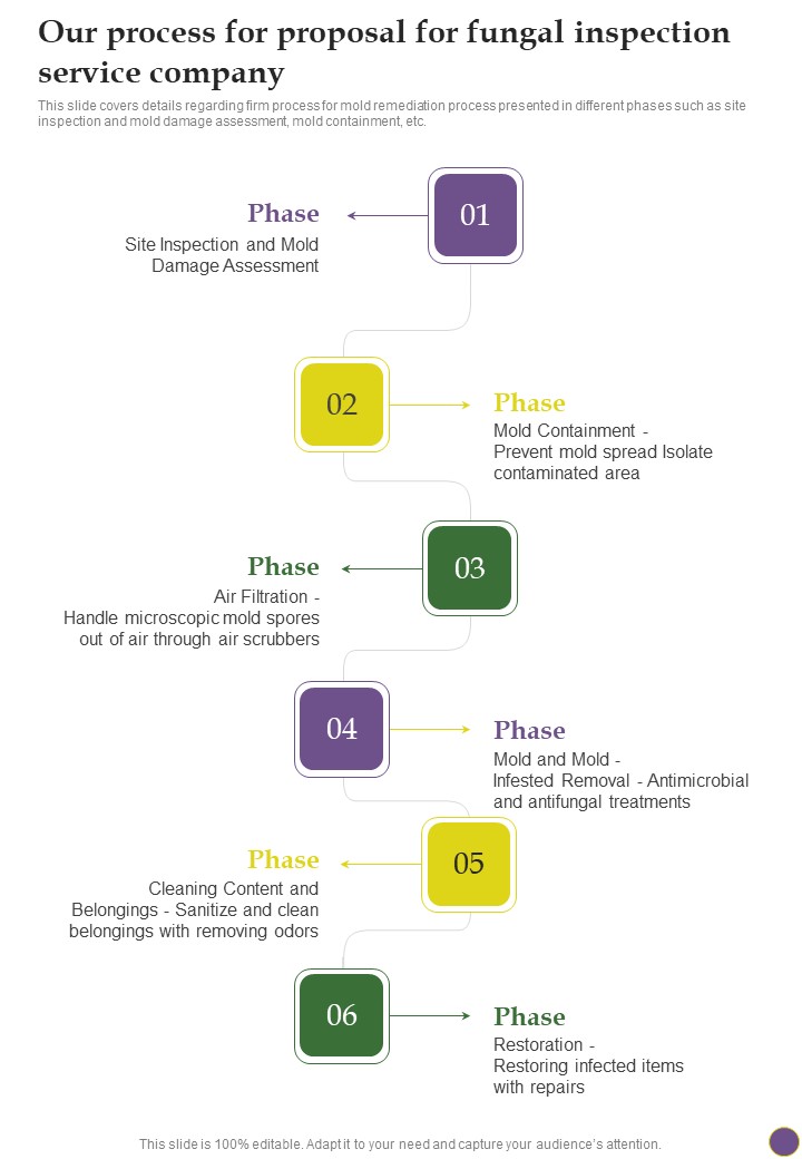 Our Process For Proposal For Fungal Inspection Service Company One Pager Sample Example Document