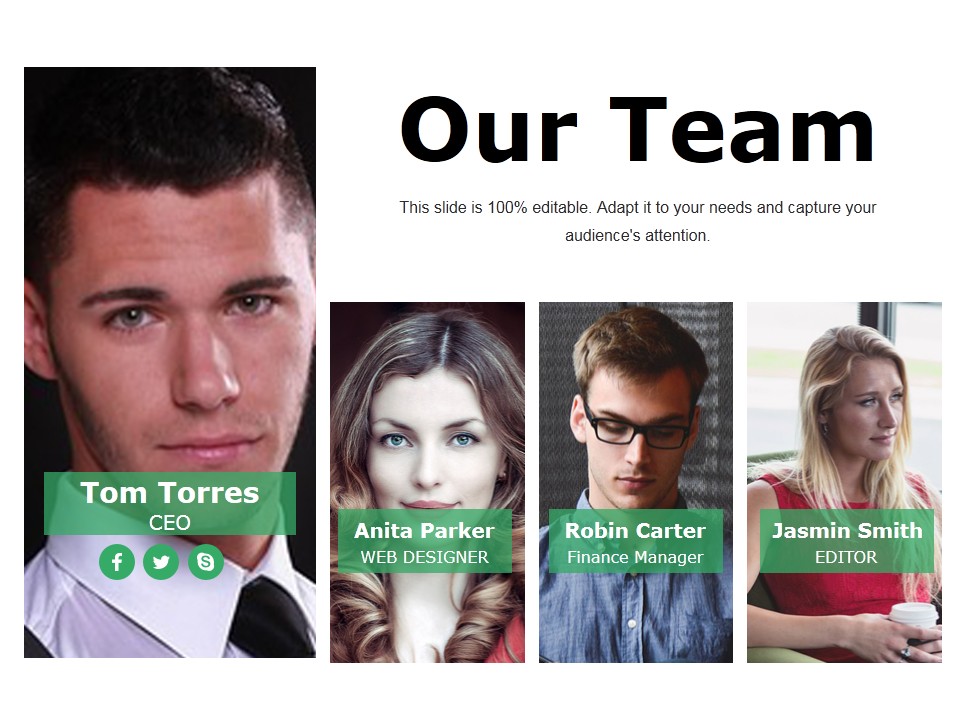 Our Team Ppt PowerPoint Presentation Icon Show