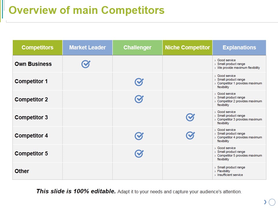 Overview Of Main Competitors Ppt PowerPoint Presentation Model Visuals