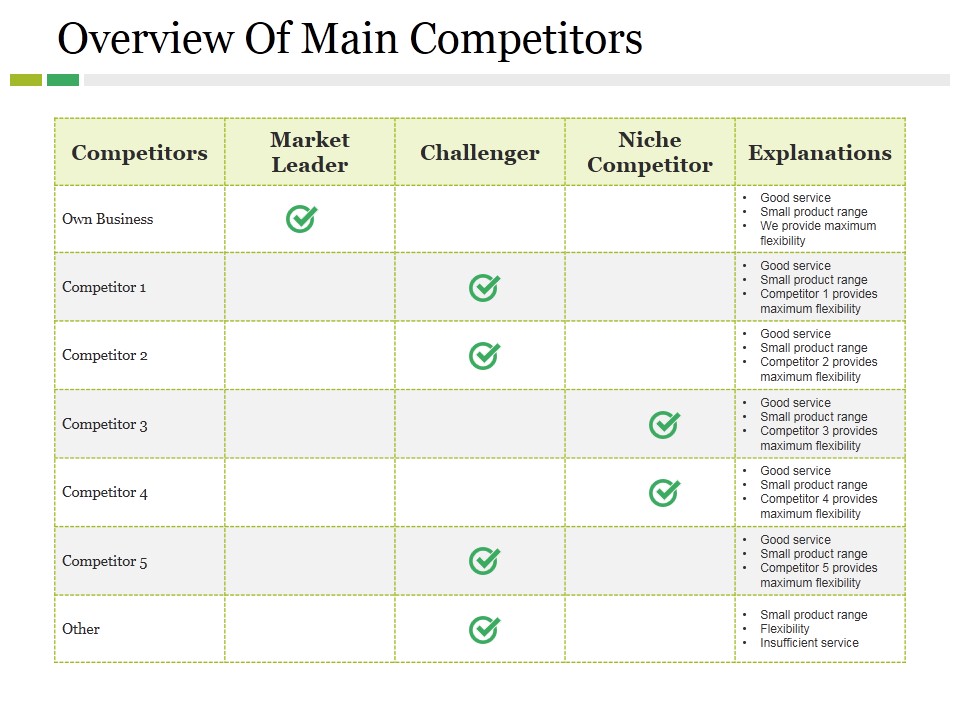 Overview Of Main Competitors Ppt PowerPoint Presentation Styles Portrait