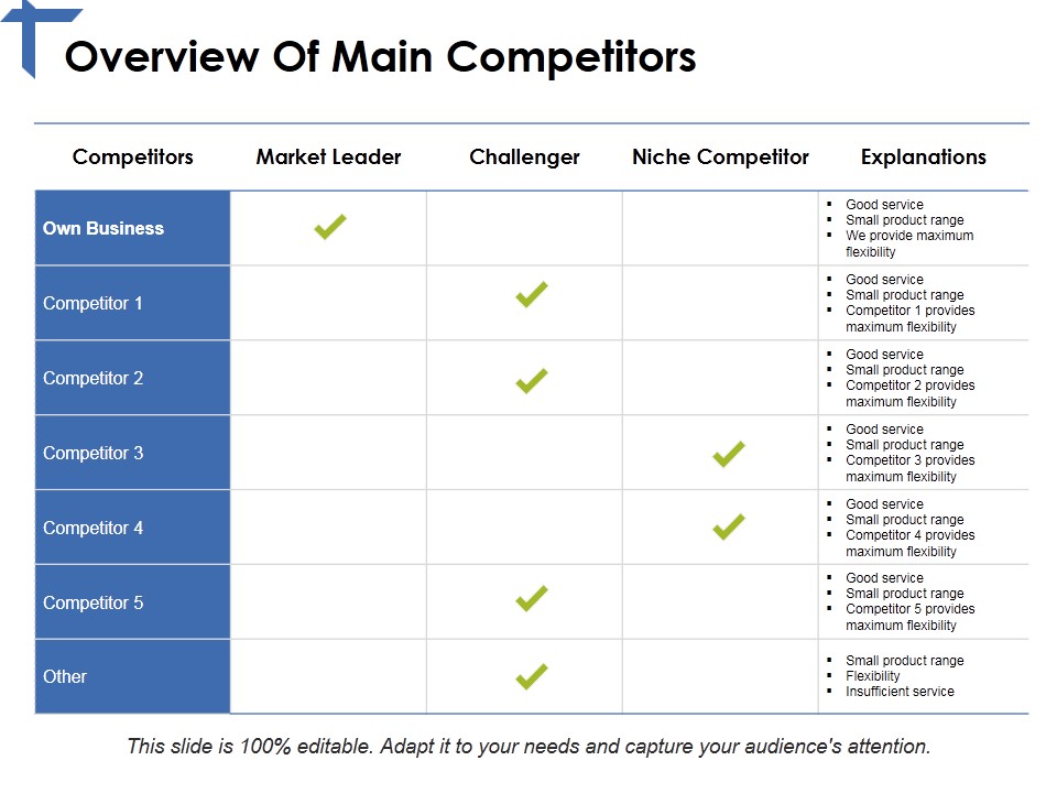 Overview Of Main Competitors Ppt PowerPoint Presentation Summary Example File