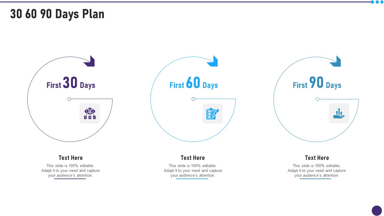 PMP Acceptability Benchmarks IT 30 60 90 Days Plan Information PDF