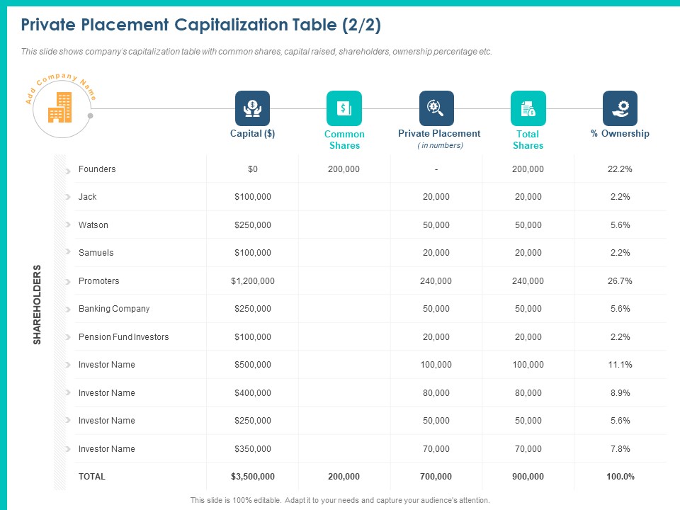 PPM Private Equity Private Placement Capitalization Table Ownership Ppt PowerPoint Presentation Layouts Slide Download PDF