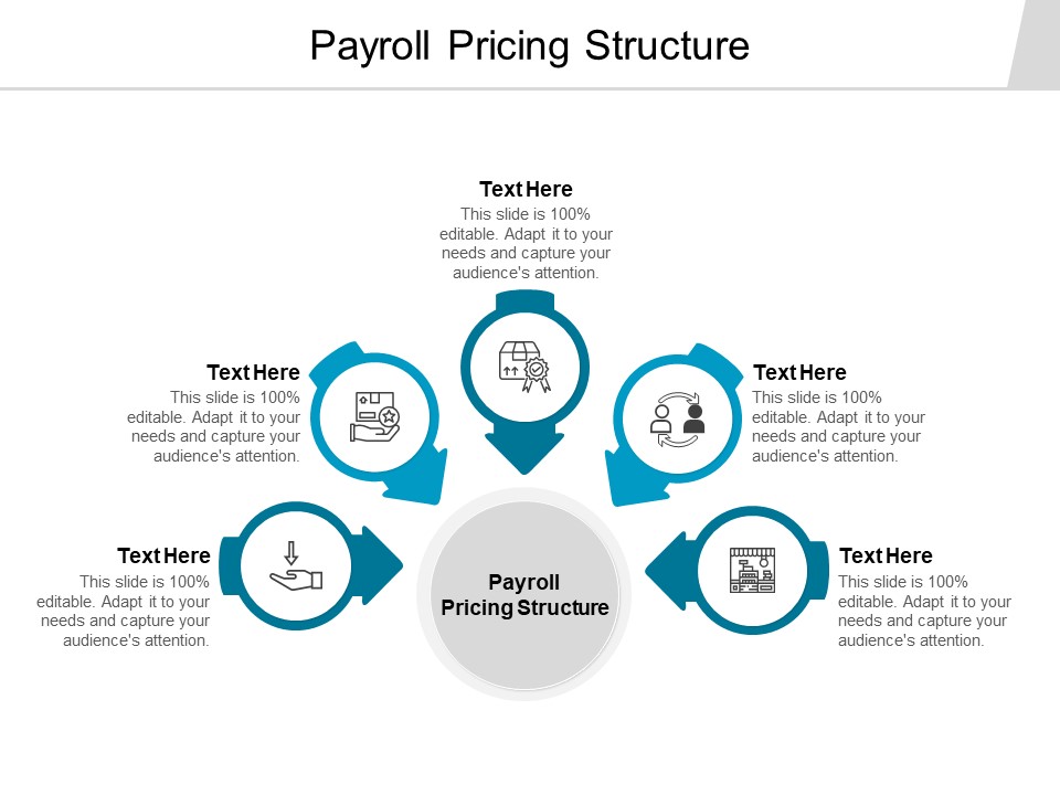 Payroll Pricing Structure Ppt PowerPoint Presentation Infographics Slides Cpb