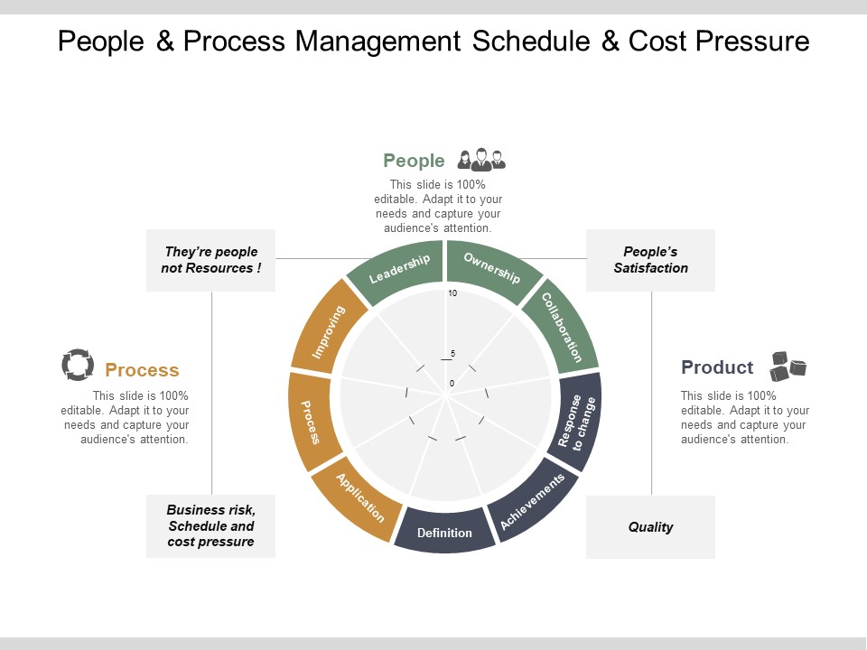 People And Process Management Schedule And Cost Pressure Ppt PowerPoint Presentation Styles Styles