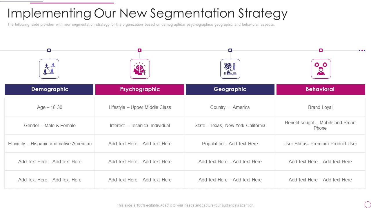 Performance Analysis Of New Product Development Implementing Our New Segmentation Strategy Structure PDF