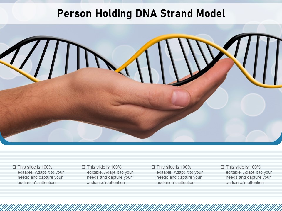 Person Holding DNA Strand Model Ppt PowerPoint Presentation Icon Tips PDF