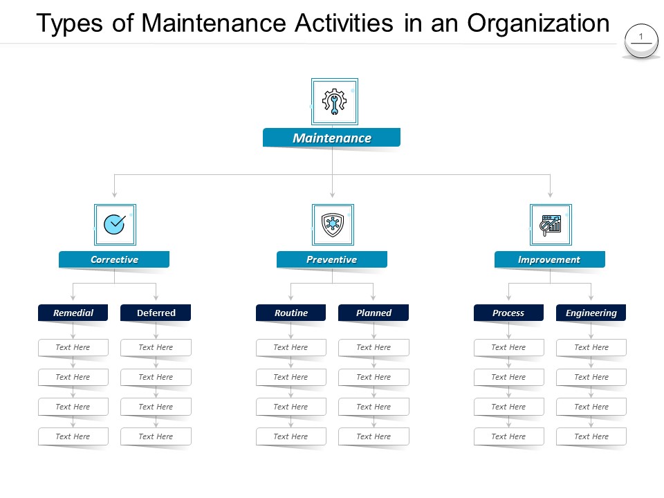 Pharmaceutical Management Types Of Maintenance Activities In An Organization Ppt Professional Aids PDF