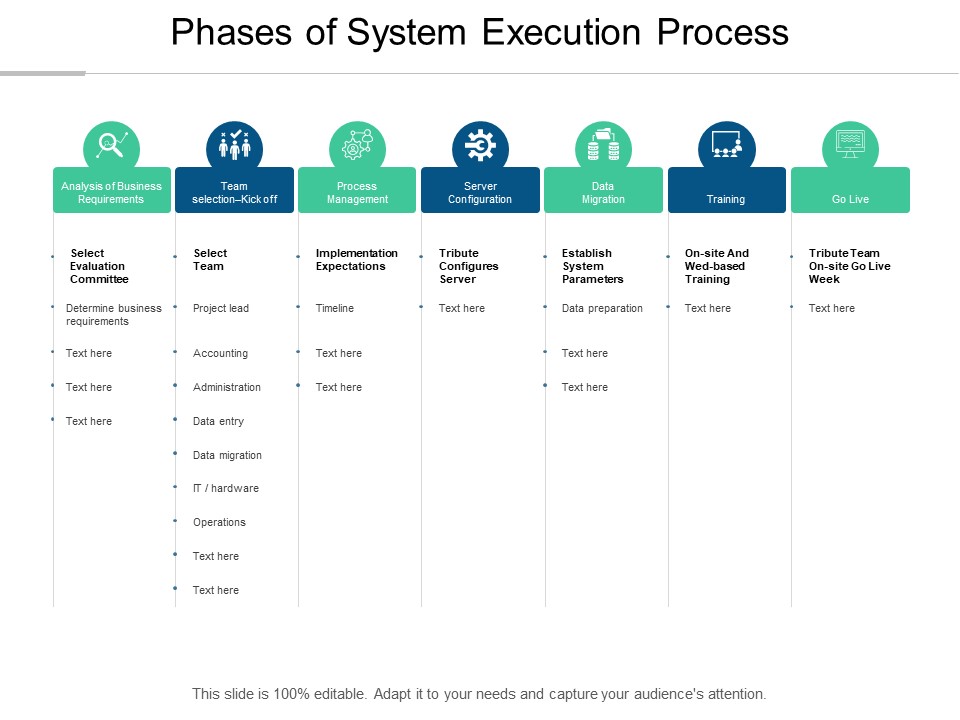 Phases Of System Execution Process Ppt PowerPoint Presentation Infographic Template Designs